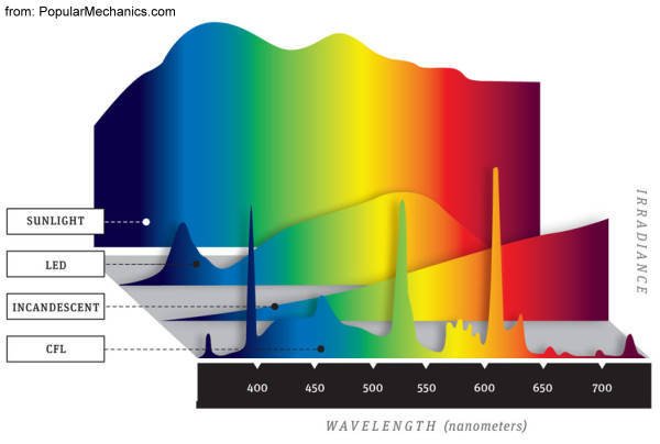 Comparison of Light Bulb Spectra